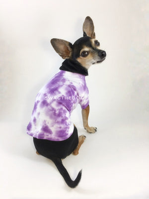 Swagadelic Purple Tie Dye Tee - Cute Chihuahua named Hugo in sitting position with his back towards the camera and looking back, wearing the hand tie-dyed tee with Purple