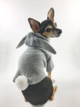 Gray Bunny Hoodie - Cute Chihuahua Dog Wearing Hoodie Looking Back. Gray Bunny Hoodie with Pom Pom Tail
