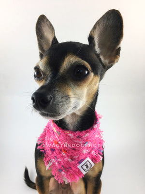 Hot Pink Tweed Swagdana with Frayed Edges - Bust of Cute Chihuahua Wearing Swagdana. Dog Bandana. Dog Scarf.