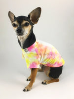 Swagadelic Cotton Candy Tie Dye Tee - Side profile of cute Chihuahua named Hugo in sitting position. wearing the hand tie-dyed tee with Pink and Yellow