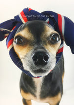 Afternoon in Paris Swagdana Scarf - Bust of Cute Chihuahua Wearing Swagdana Scarf as Headband. Dog Bandana. Dog Scarf