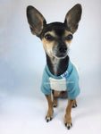 Baby Blue and Gray Centerfield Tees T-Shirt - Cute Chihuahua Dog Wearing T-Shirt Full Front View. Baby Blue and Gray T-Shirt