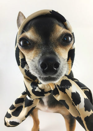 Fierce Beige with Yellow Swagdana Scarf - Bust of Cute Chihuahua Wearing Swagdana Scarf as Headscarf. Dog Bandana. Dog Scarf