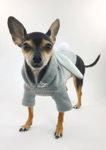 Gray Bunny Hoodie - Side View of Cute Chihuahua Dog Wearing Hoodie. Gray Bunny Hoodie with Pom Pom Tail
