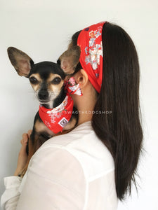 Red Wild Flower Swagdana Scarf - Woman wearing Swagdana Scarf as Headband and Hugo, The Chihuahua Wearing Swagdana Scarf as Bandana. Dog Bandana. Dog Scarf
