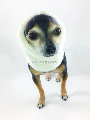 Full of Heart Swagsnood - Close-up face view of Hugo, Cute Chihuahua Dog Wearing cream faux fur side
