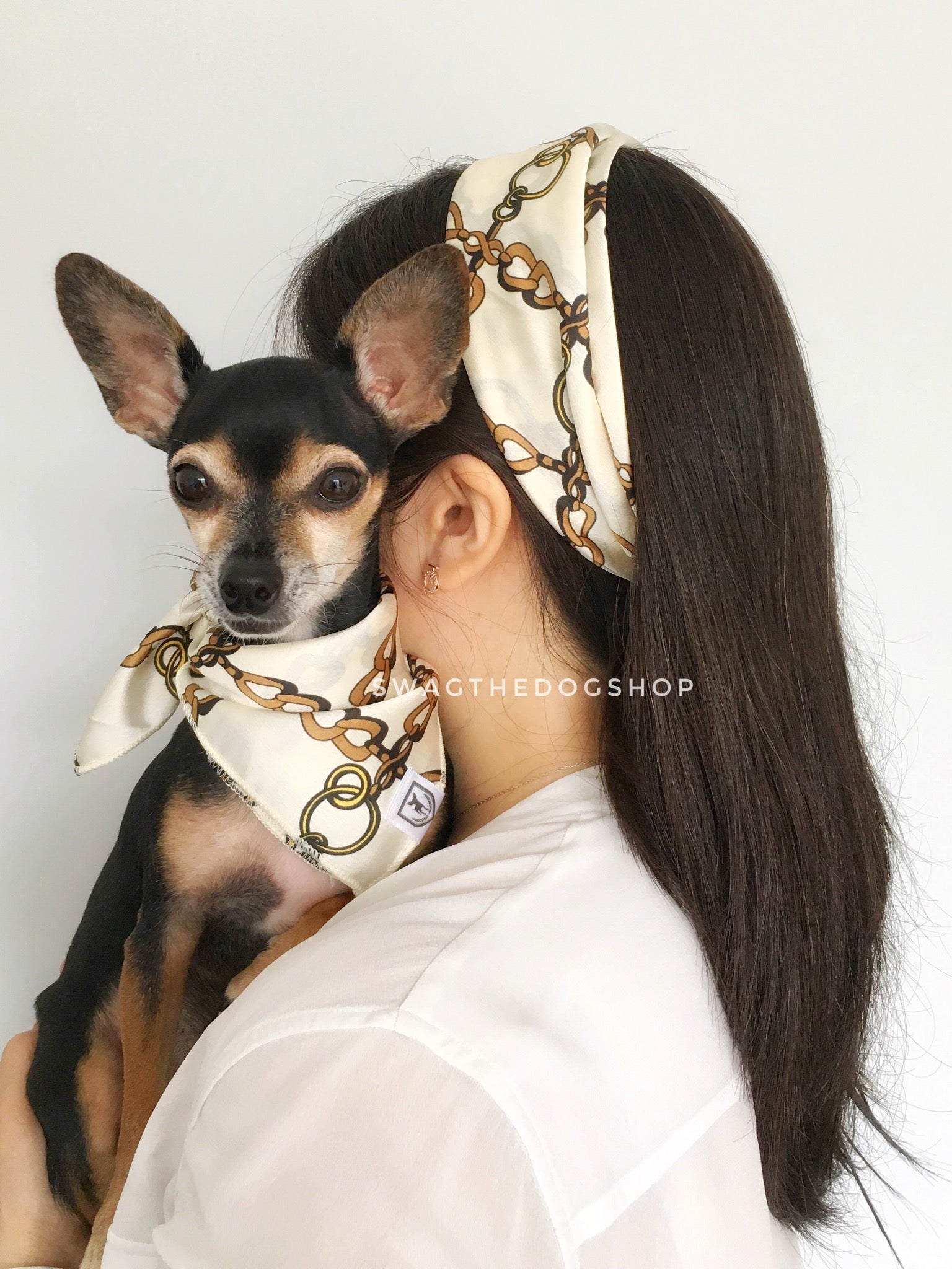 Chihuahua headband sales