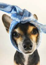 Polka Itty Bitty Powder Blue Swagdana Scarf - Bust of Cute Chihuahua Wearing Swagdana Scarf as Headband. Dog Bandana. Dog Scarf.