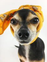 Lorenzo Llama Yellow Yellow Swagdana Scarf - Bust of Cute Chihuahua Wearing Swagdana Scarf as Headband. Dog Bandana. Dog Scarf.