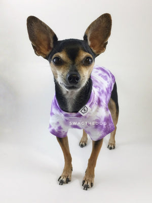 Swagadelic Purple Tie Dye Tee - Frontal of Cute Chihuahua named Hugo in standing position, wearing the hand tie-dyed tee with Purple