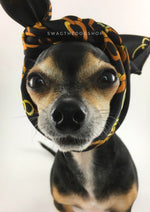 24K Black Gold Swagdana Scarf - Bust of Cute Chihuahua Wearing Swagdana Scarf as Headband. Dog Bandana. Dog Scarf