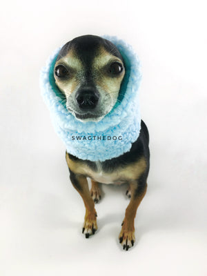 Blue Unicorn Swagsnood - Close-up view of Hugo, Cute Chihuahua Dog Wearing and covering his ears with blue sherpa side