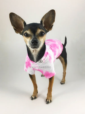 Swagadelic Pink Tie Dye Tee - Frontal of cute Chihuahua named Hugo in standing position, wearing the hand tie-dyed tee with Pink