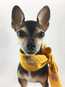 Lorenzo Llama Yellow Swagdana Scarf - Bust of Cute Chihuahua Wearing Swagdana Scarf as Neckerchief. Dog Bandana. Dog Scarf.