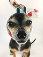 Rock Your Socks Swagdana Scarf - Bust of Cute Chihuahua Wearing Swagdana Scarf as Headband. Dog Bandana. Dog Scarf.
