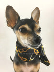 24K Black Gold Swagdana Scarf - Bust of Cute Chihuahua Wearing Swagdana Scarf as Neckerchief. Dog Bandana. Dog Scarf