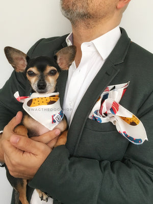 Rock Your Socks Print Swagdana Scarf - Man using Swagdana Scarf as Pocket Square in his Sports Jacket and Hugo, The Chihuahua Wearing Swagdana Scarf as Bandana. Dog Bandana. Dog Scarf