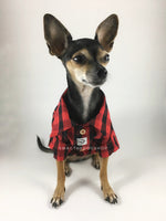Kenora Summer Shirt - Full Front View of Cute Chihuahua Dog Wearing Shirt. Black and Red Gingham Shirt