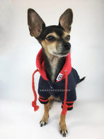 Parklife Navy and Red Sports Hoodie - Full Front View of Cute Chihuahua Dog Wearing Hoodie. Navy and Red Sports Hoodie