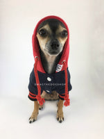Parklife Navy and Red Sports Hoodie - Front View of Cute Chihuahua Dog Wearing Hoodie with Hood Up. Navy and Red Sports Hoodie