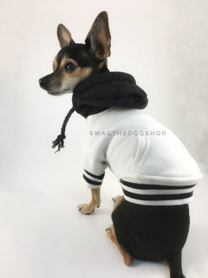 Parklife Black and White Sports Hoodie - Side and Back View of Cute Chihuahua Dog Wearing Hoodie with Hood Up. Black and White Sports Hoodie