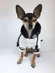 Parklife Black and White Sports Hoodie - Full Front View of Cute Chihuahua Dog Wearing Hoodie. Black and White Sports Hoodie