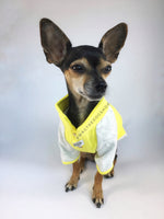 Surfside Lemon Yellow Polo Shirt - Full Front View of Cute Chihuahua Dog Wearing Shirt. Lemon Yellow with Light Gray Sleeves Polo Shirt