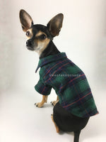 True North Green Plaid Shirt - Side and Back View of Cute Chihuahua Dog Wearing Shirt. Green Plaid Shirt