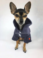 Yachtsman Navy Shirt - Full Front View of Cute Chihuahua Dog Wearing Shirt with Collar Up. Navy Shirt with Fleece Inside