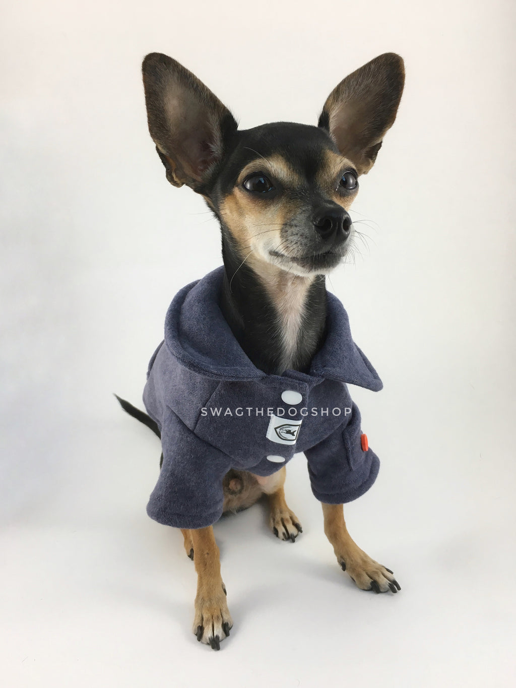 Yachtsman Navy Shirt - Full Front View of Cute Chihuahua Dog Wearing Shirt. Navy Shirt with Fleece Inside