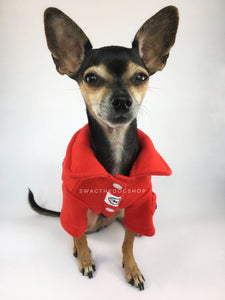 Yachtsman Red Shirt - Full Front View of Cute Chihuahua Dog Wearing Shirt. Red Shirt with Fleece Inside