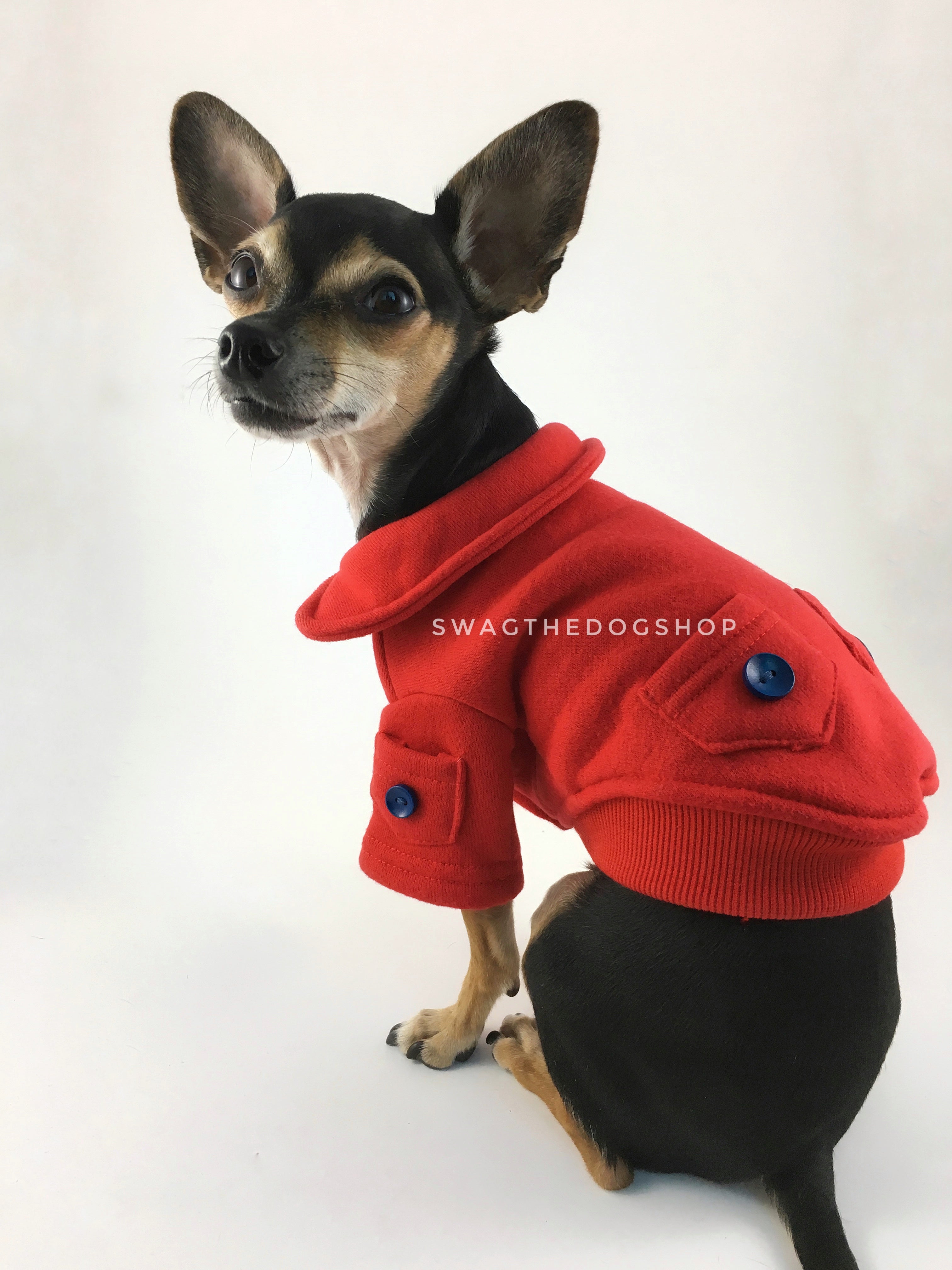 Yachtsman Red Shirt - Side and Back View of Cute Chihuahua Dog Wearing Shirt. Red Shirt with Fleece Inside