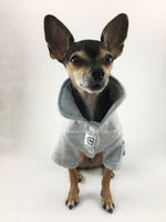 Yachtsman Heather Gray Shirt - Full Front View of Cute Chihuahua Dog Wearing Shirt with Collar Up. Heather Gray Shirt with Fleece Inside