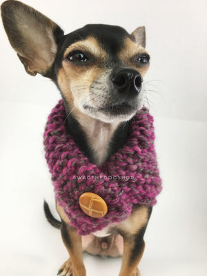 Berries Swagsnood -  Close Up View of Cute Chihuahua Dog Wearing Pink Gray Mixed Color Dog Snood with Accent Button