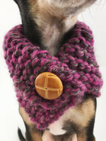 Berries Swagsnood - Close Up Neck View of Cute Chihuahua Dog Wearing Pink Gray Mixed Color Dog Snood with Accent Button