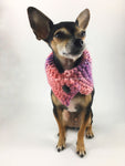 Cotton Candy Swagsnood -  Full Front View of Cute Chihuahua Dog Wearing Mixed Color of Pink, Purple and Salmon Pink Dog Snood with Accent Button