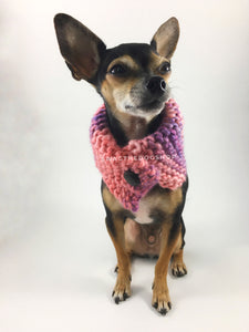 Cotton Candy Swagsnood -  Full Front View of Cute Chihuahua Dog Wearing Mixed Color of Pink, Purple and Salmon Pink Dog Snood with Accent Button