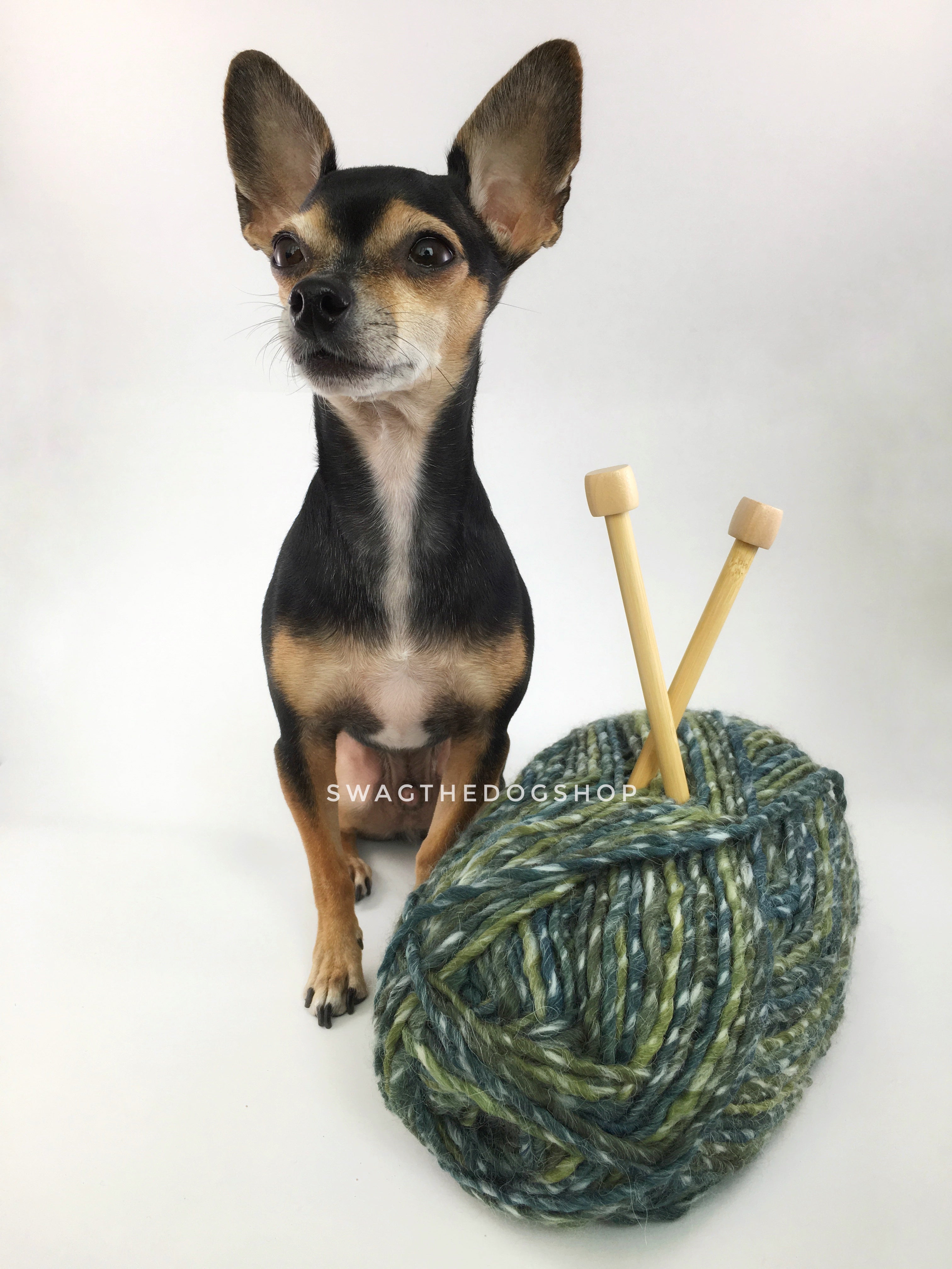 Galaxy Sparkle Swagsnood - Yarn with Cute Chihuahua Dog. Spectrum of Green Color Dog Snood with Accent Button