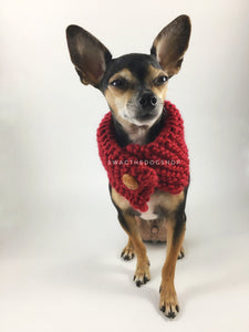 Maroon 7 Swagsnood - Full Front View of Cute Chihuahua Dog Wearing Maroon Color Dog Snood with Accent Button