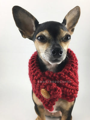 Maroon 7 Swagsnood - Close Up View of Cute Chihuahua Dog Wearing Maroon Color Dog Snood with Accent Button