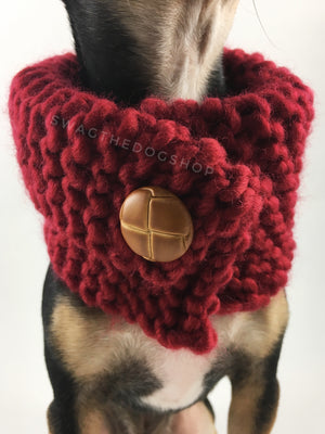 Maroon 7 Swagsnood - Close Up Neck View of Cute Chihuahua Dog Wearing Maroon Color Dog Snood with Accent Button