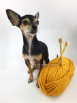 Mustard Yellow Swagsnood - Yarn with Cute Chihuahua Dog. Mustard Yellow Color Dog Snood with Accent Button