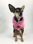 Pink Enough Swagsnood - Full Front View of Cute Chihuahua Dog Wearing Pink Color Dog Snood with Accent Button
