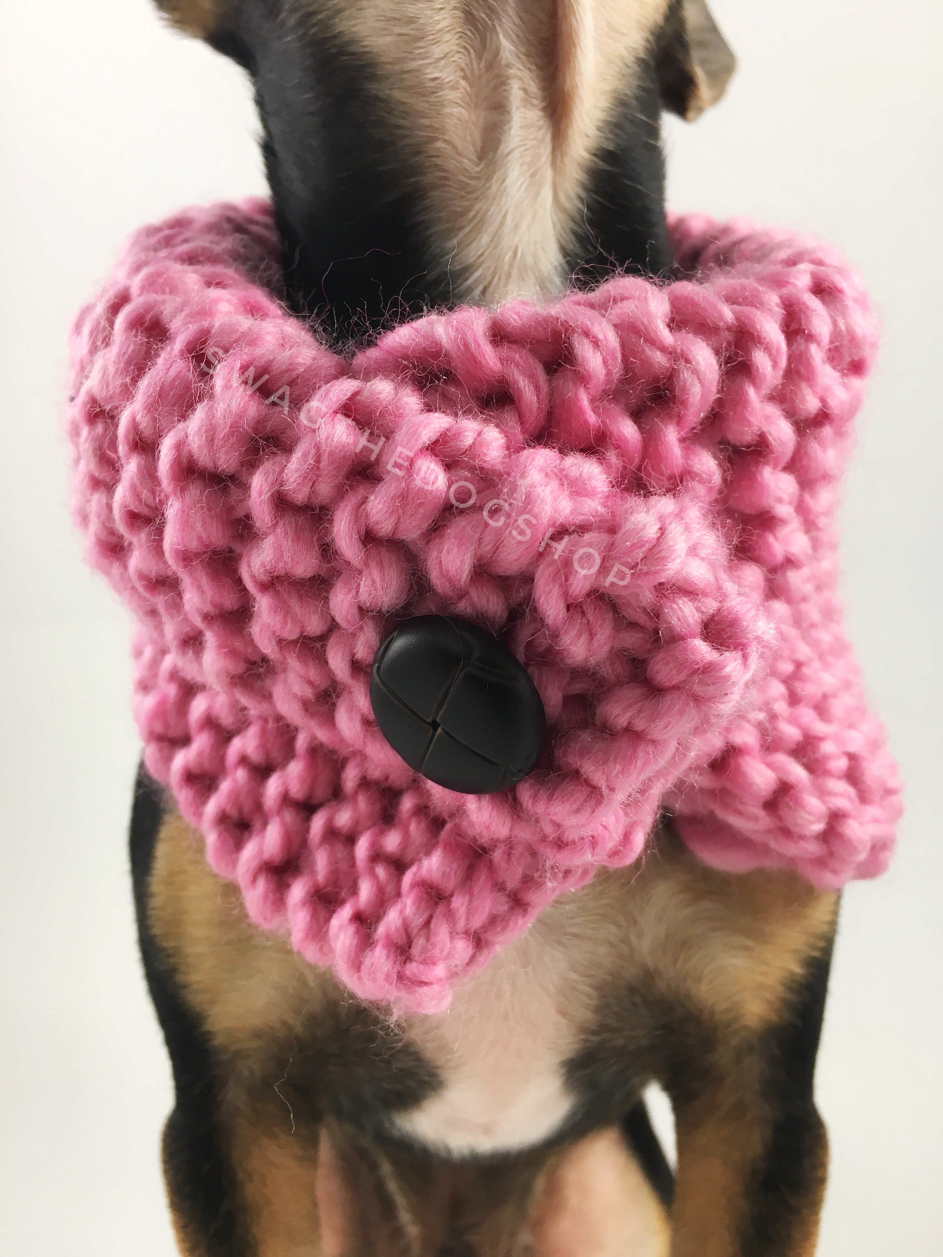 Pink Enough Swagsnood - Close Up Neck View of Cute Chihuahua Dog Wearing Pink Color Dog Snood with Accent Button