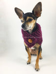 Plum Swagsnood - Full Front View of Cute Chihuahua Dog Wearing Plum Color Dog Snood with Accent Button