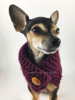 Plum Swagsnood -  Close Up View of Cute Chihuahua Dog Wearing Plum Color Dog Snood with Accent Button