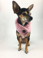 Rosewater Swagsnood - Full Front View of Cute Chihuahua Dog Wearing Dusty Rose Pink Color Dog Snood with Accent Button