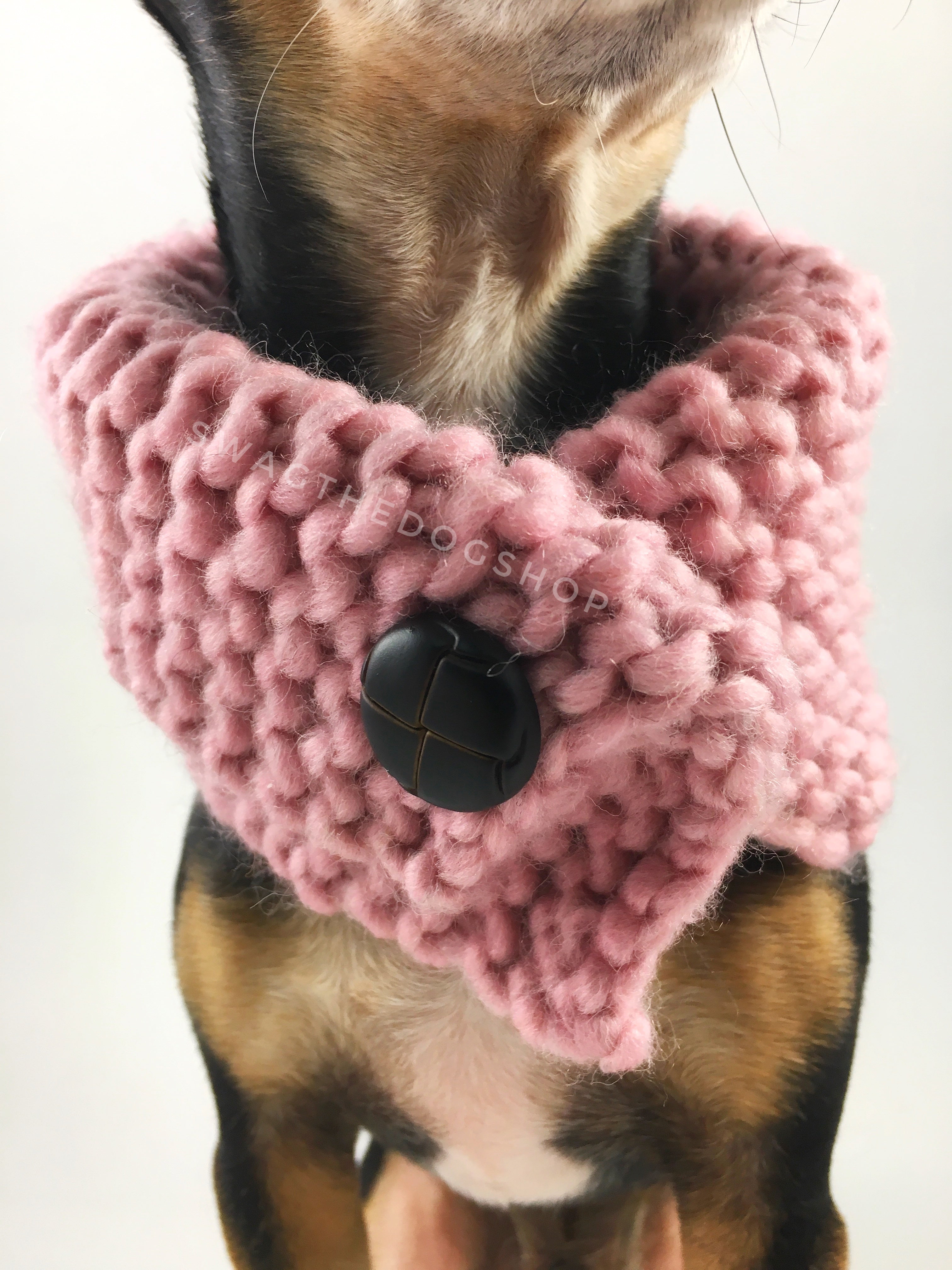 Rosewater Swagsnood -  Close Up Neck View of Cute Chihuahua Dog Wearing Dusty Rose Pink Color Dog Snood with Accent Button
