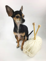 Starlight Sparkle Swagsnood - Yarn with Cute Chihuahua Dog. Cream Color with Sparkle Thread Dog Snood with Accent Button