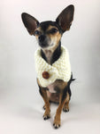 Winter Cream Swagsnood - Full Front View of Cute Chihuahua Dog Wearing Winter Cream Color Dog Snood with Accent Button